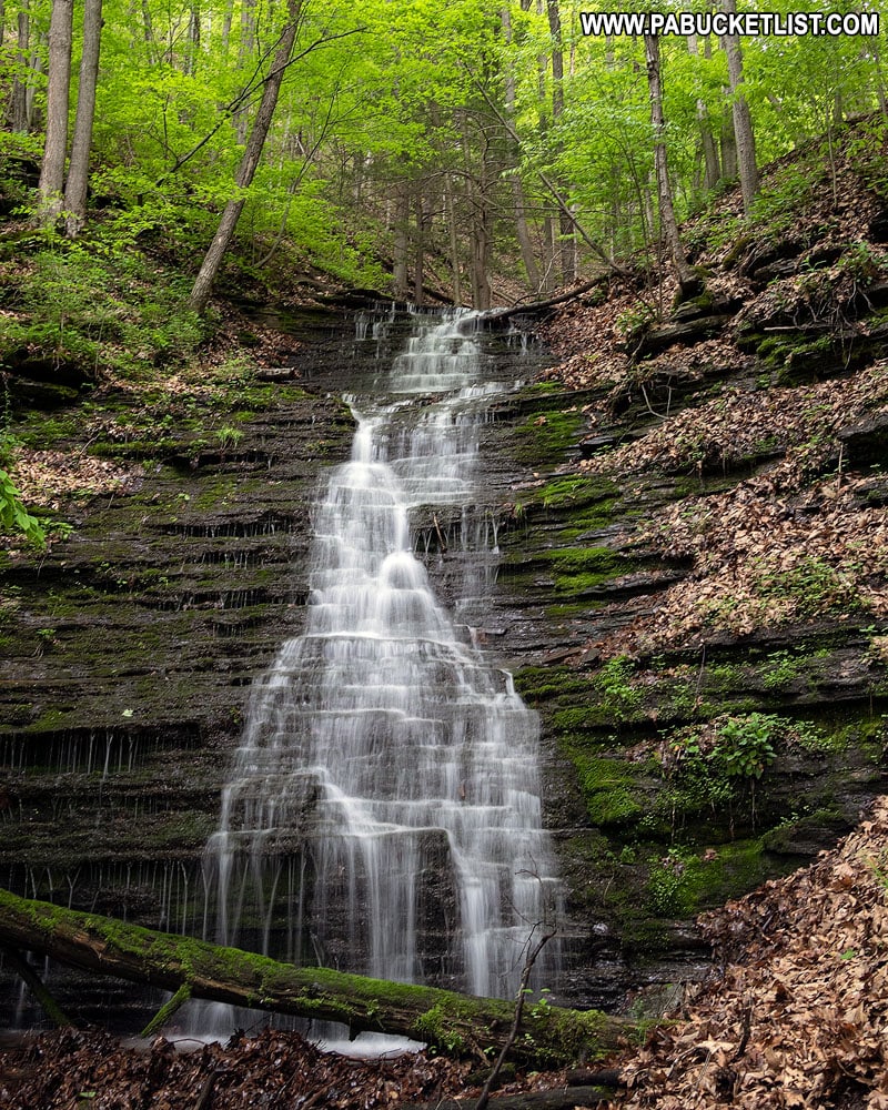 Waterfall on an unnamed tributary of Pine Creek in Tiadaghton Pennsylvania