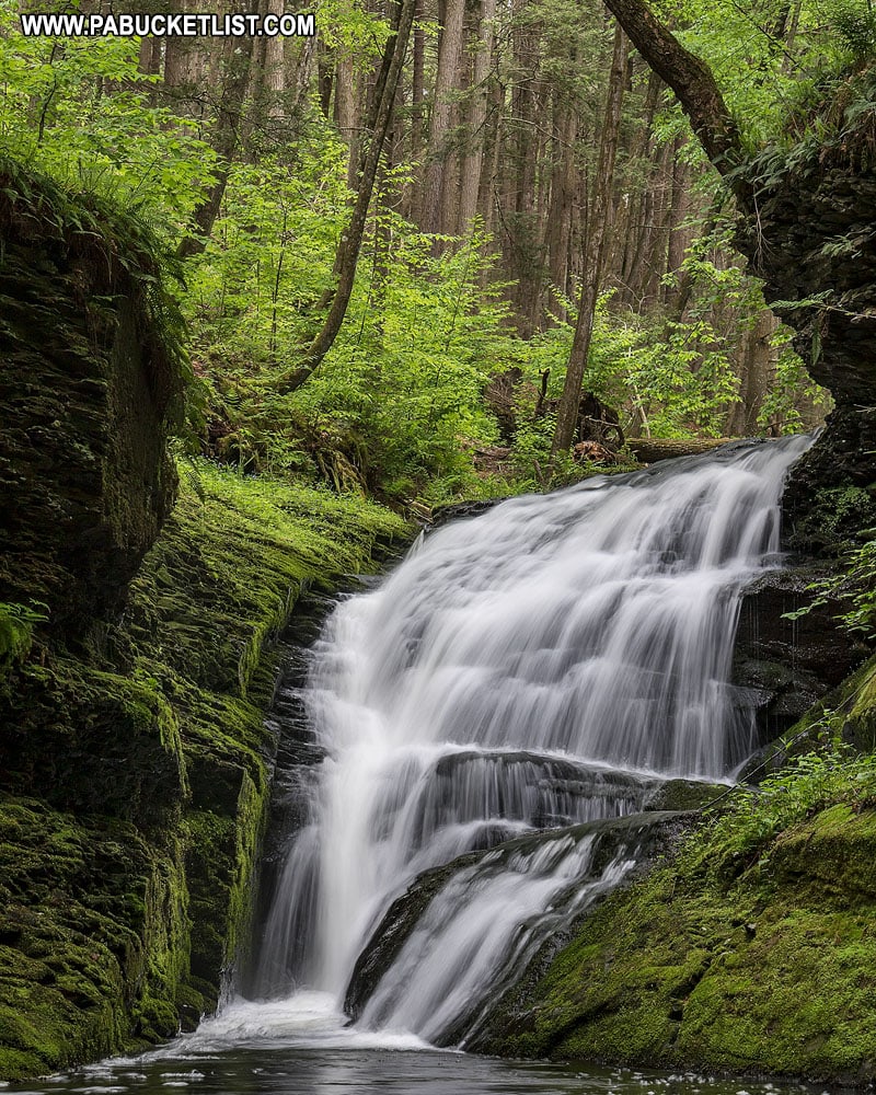 Chute d'eau le long du sentier Upper Hornsbeck dans le comté de Pike en Pennsylvanie