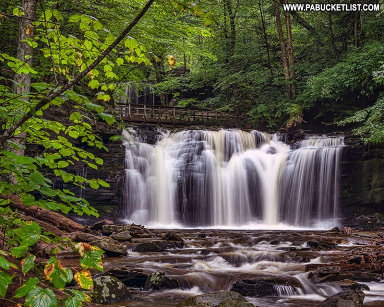 Exploring the Falls Trail at Ricketts Glen State Park