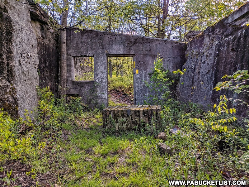 Exploring the Ruins of Kunes Camp in the Quehanna Wild Area