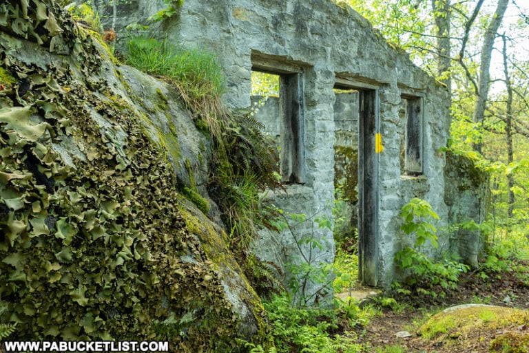 Exploring the Ruins of Kunes Camp in the Quehanna Wild Area