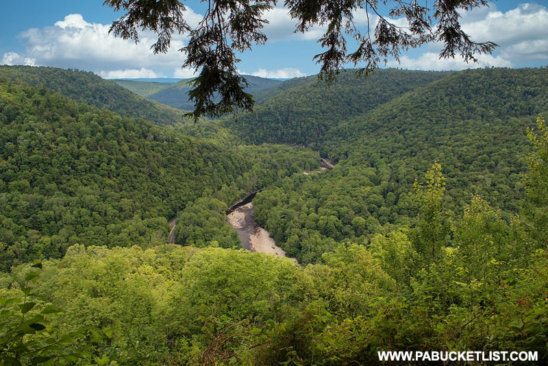 Loyalsock Canyon Vista Sullivan County Pennsylvania