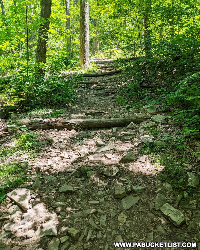 The White Trail leading towards the top of Mount Nittany.