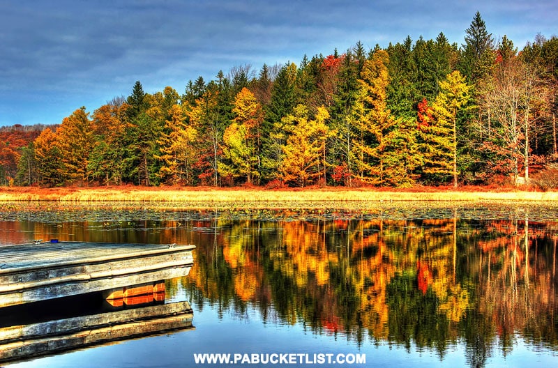 Fall foliage at Black Moshannon State Park.