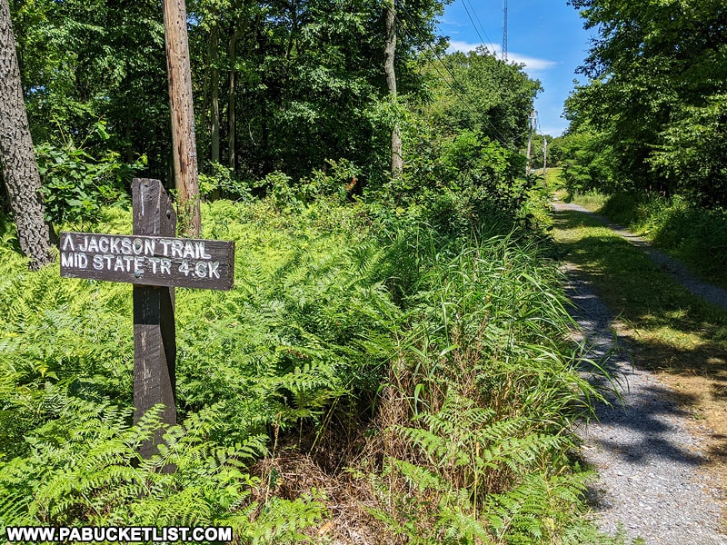 The Jackson Trail to David's Vista near State College PA