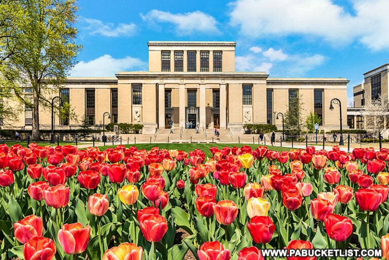 The 5 Best Scenic Overlooks Near State College