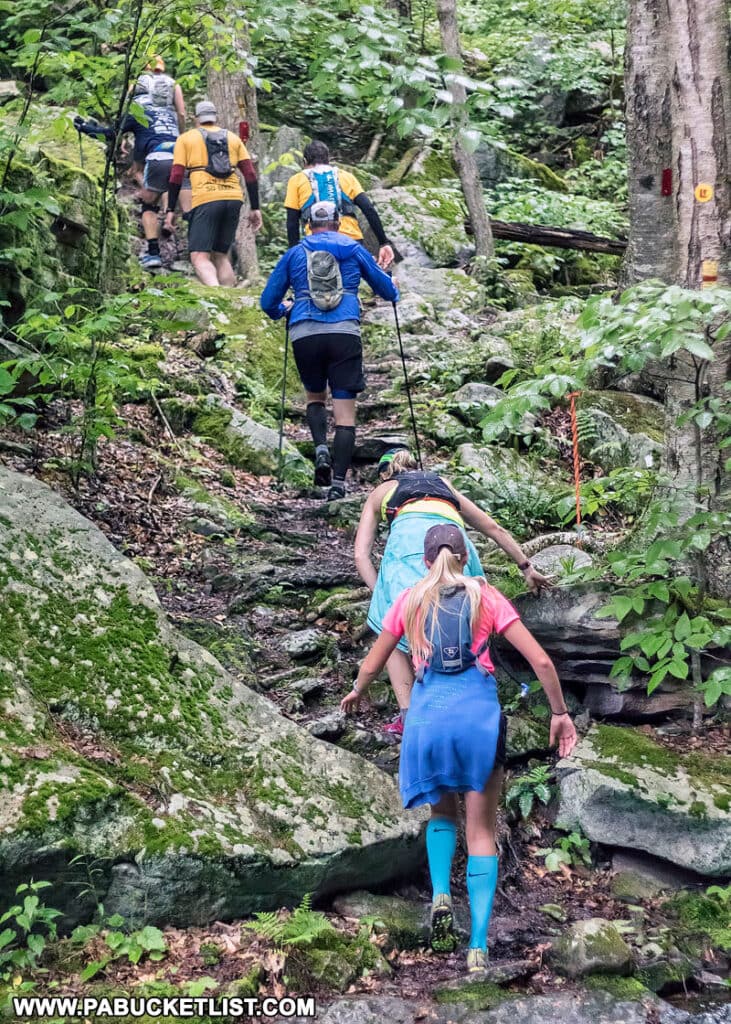 Runners participating in the Worlds End Ultramarathon.