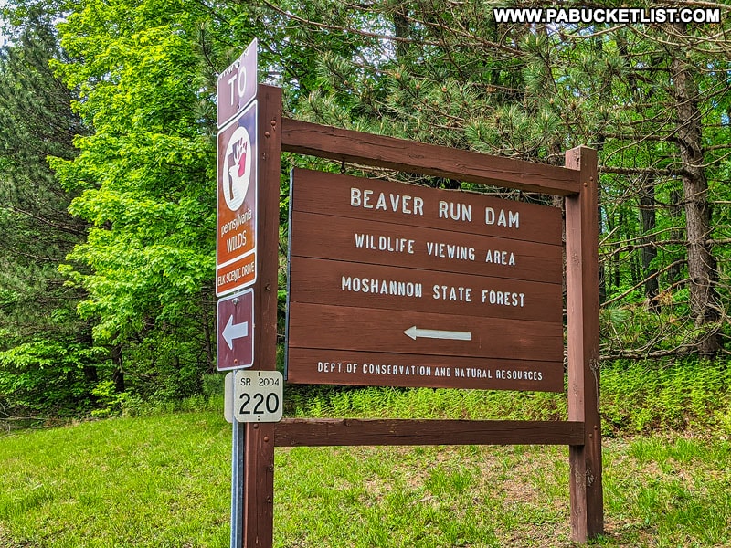 Beaver Run Dam Wildlife Viewing Area sign in the Quehanna Wild Area.