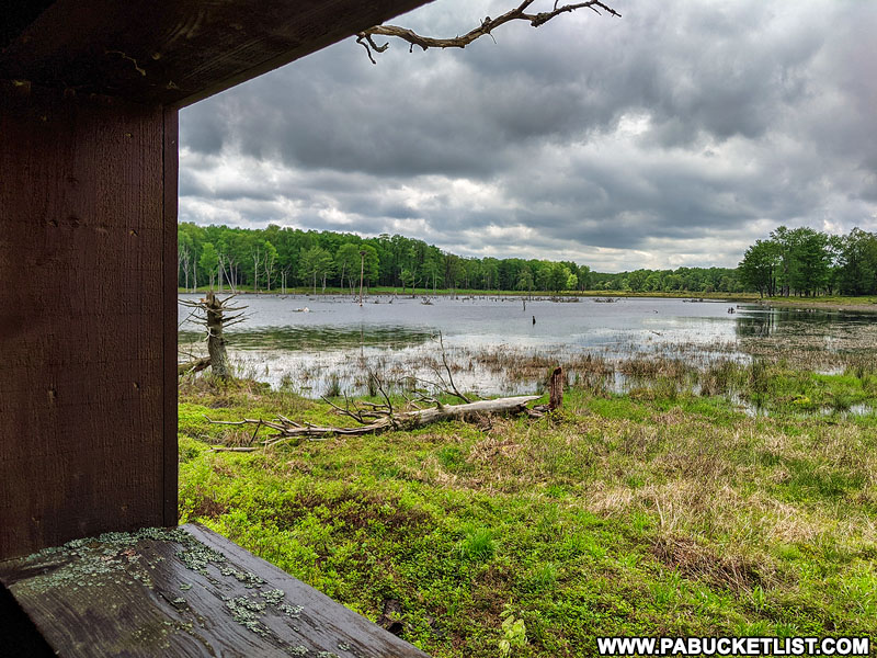 View from the Beaver Run Dam wildlife viewing blind.