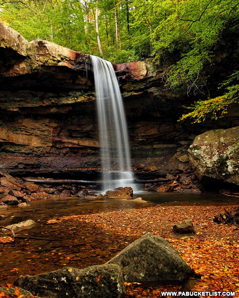 Fall foliage at Cucumber Falls in Ohiopyle State Park.