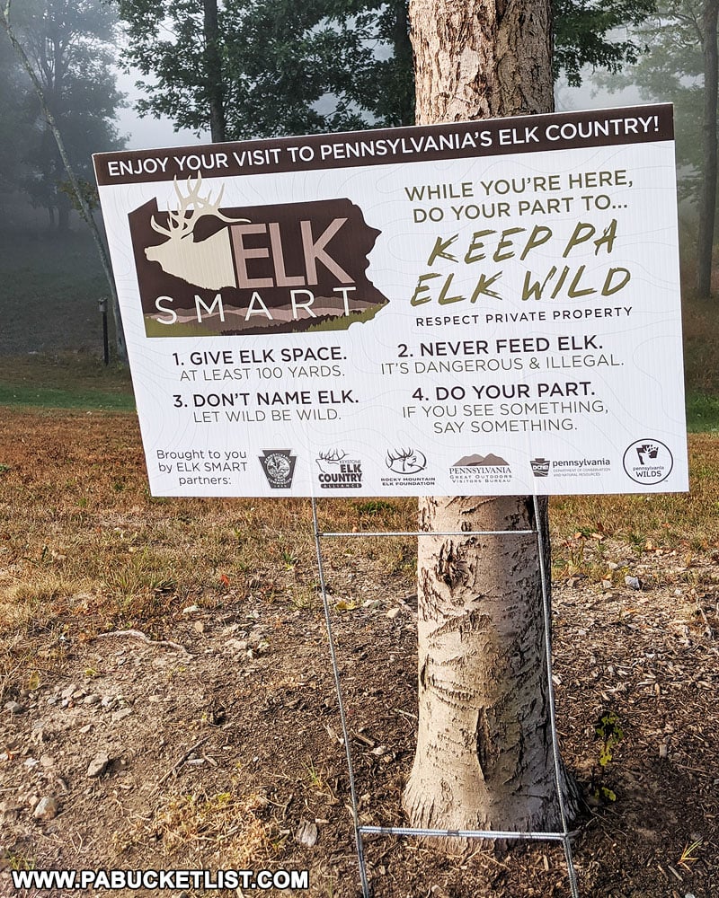 Elk viewing rules in Pennsylvania Elk Country.