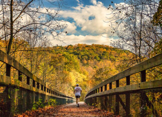Fall foliage around the High Bridge at Ohiopyle State Park in the Laurel Highlands.