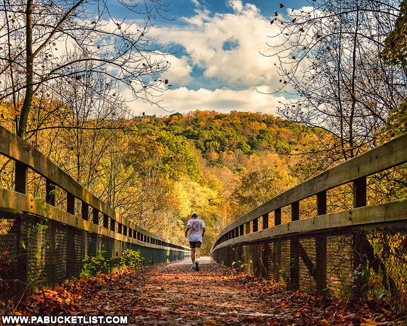 The 12 Best Places to View Fall Foliage at Ohiopyle State Park