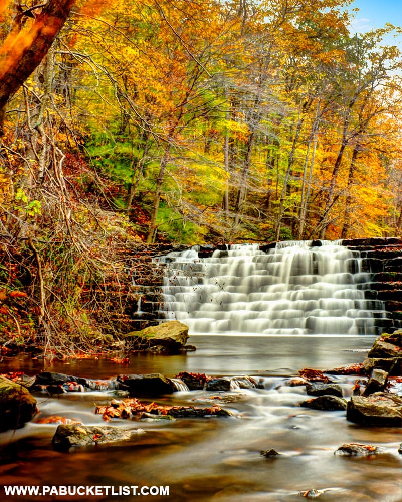 Fall foliage at Laurel Hill State Park near Somerset Pennsylvania.