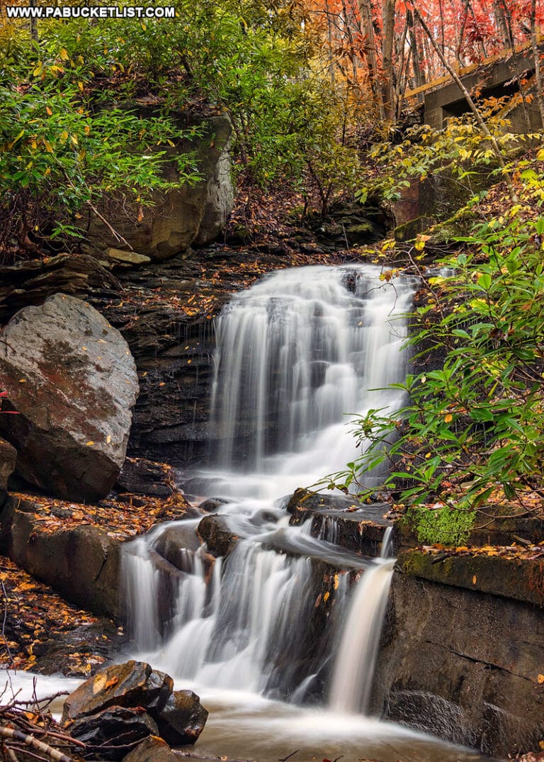The 12 Best Places to View Fall Foliage at Ohiopyle State Park