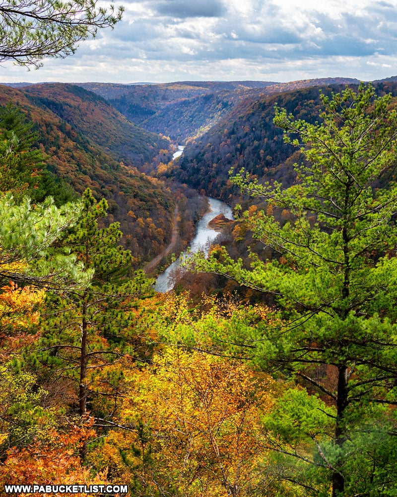 PA Grand Canyon fall foliage in October.