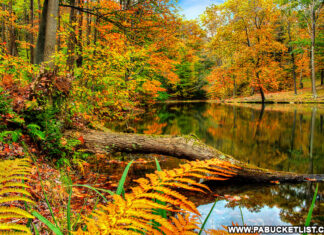 Fall foliage at Seven Springs Resort in Somerset County Pennsylvania.