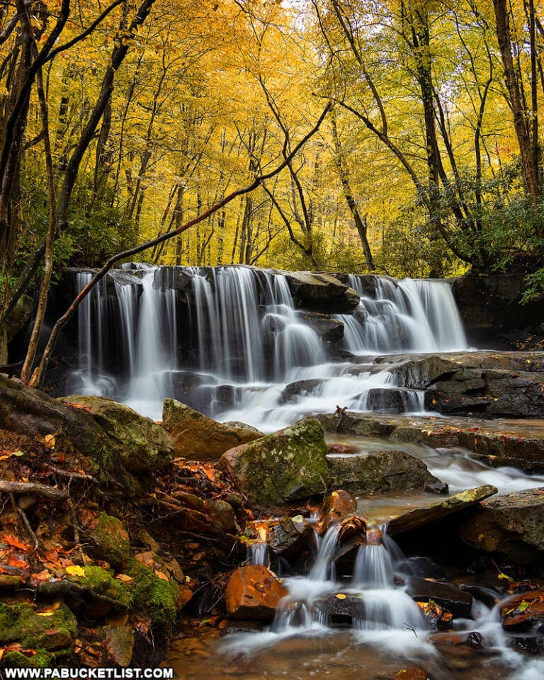 The 12 Best Places to View Fall Foliage at Ohiopyle State Park