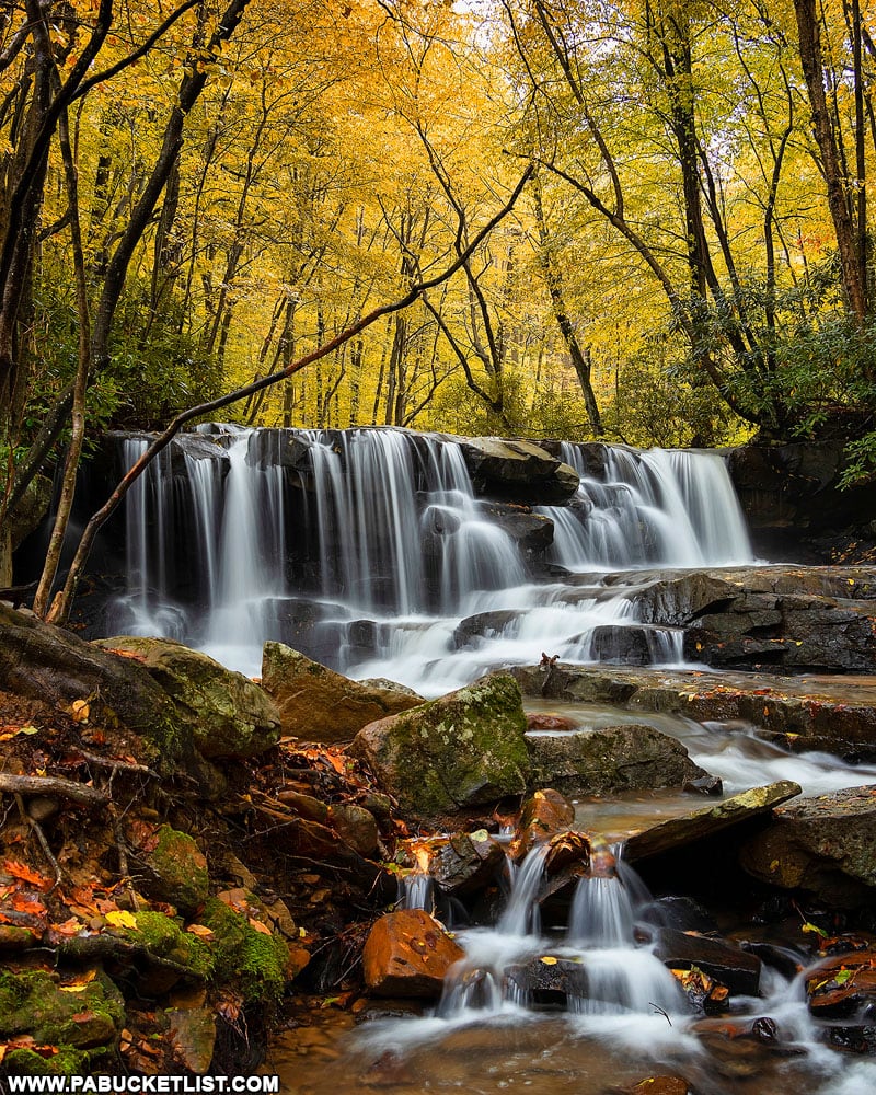 Fall foliage at Upper Jonathan Run Falls at Ohiopyle State Park.