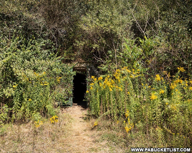 Partially hidden entrance to one of the abandoned Alvira bunkers in Union County.