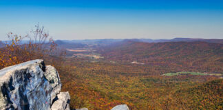An autumn afternoon at Big Mountain Overlook in the Buchanan State Forest