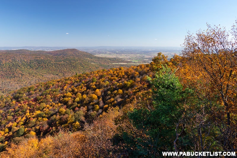 Big Mountain Overlook in the Buchanan State Forest.