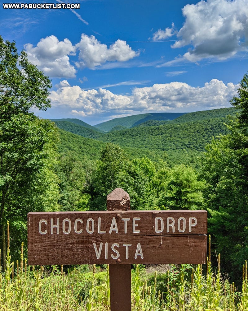 Chocolate Drop Vista sign along Pine Swamp Road in the Bald Eagle State Forest.