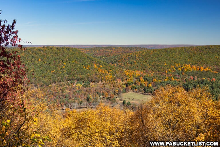 The 8 Best Scenic Overlooks in the Bald Eagle State Forest