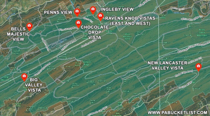 The 8 Best Scenic Overlooks in the Bald Eagle State Forest