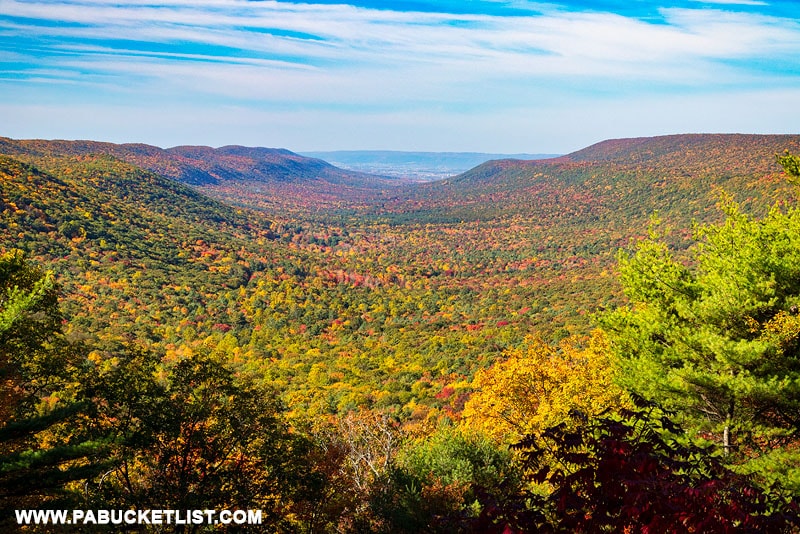 New Lancaster Valley in the Bald Eagle State Forest.