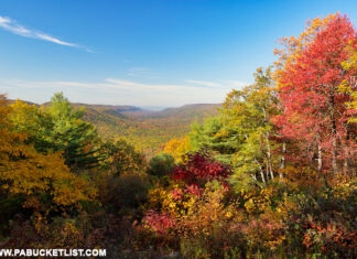 Fall foliage at New Lancaster Valley Vista in the Bald Eagle State Forest.