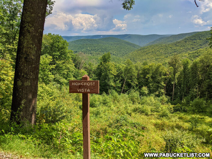 The 20 Best Scenic Overlooks in PA Elk Country