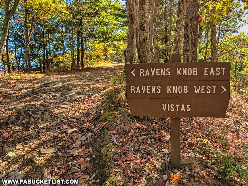 Ravens Knob Vistas sign along Poe Paddy Drive in the Bald Eagle State Forest.