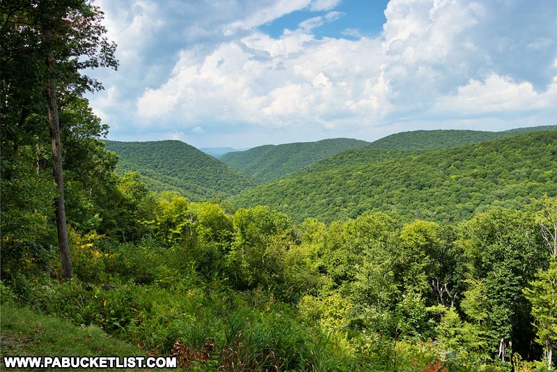 The 20 Best Scenic Overlooks in PA Elk Country