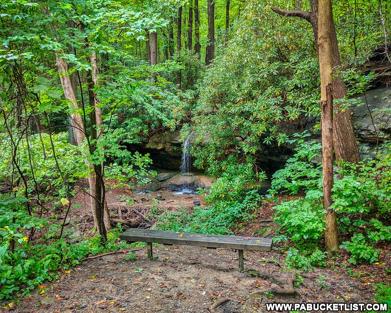 Bench along the Great Allegheny Passage in front of Hippie Shower Falls.