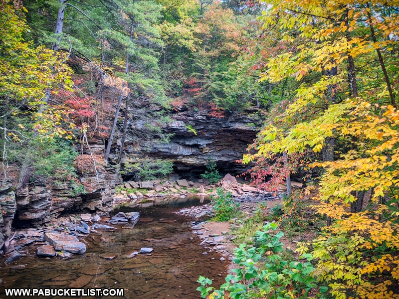 Fall foliage at Copperas Rocks at Trough Creek State Park.