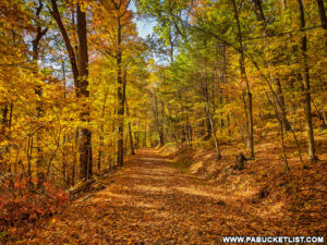 The 7 Best Things to Do at Cowans Gap State Park