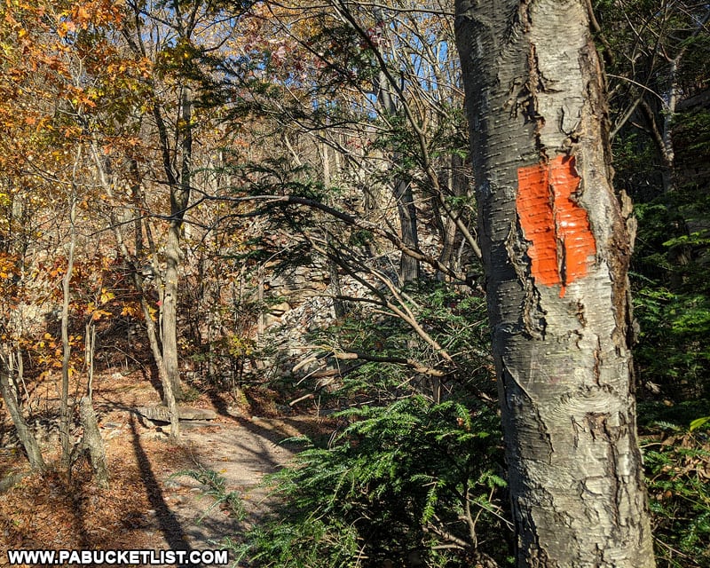 The orange-blazed Standing Stone Trail leading to the Mapleton Overlook.