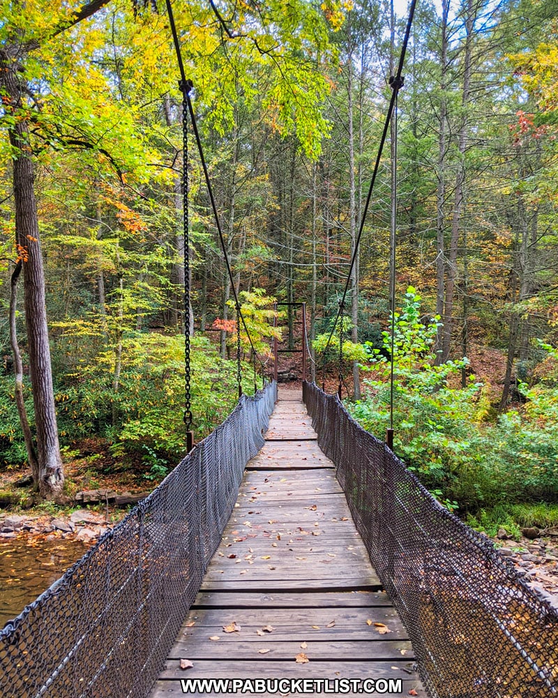 The suspension bridge over Trough Creek.