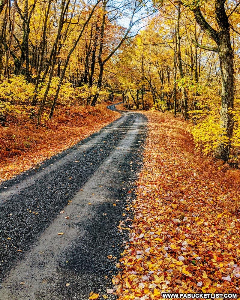 Bear Gap Road in Centre County Pennsylvania.