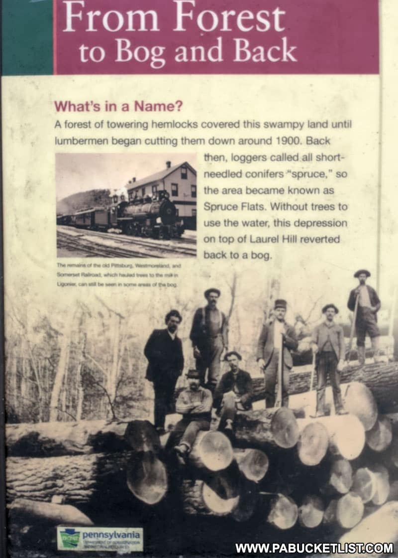History of timber operations in what is now Spruce Flats Bog in the Forbes State Forest.