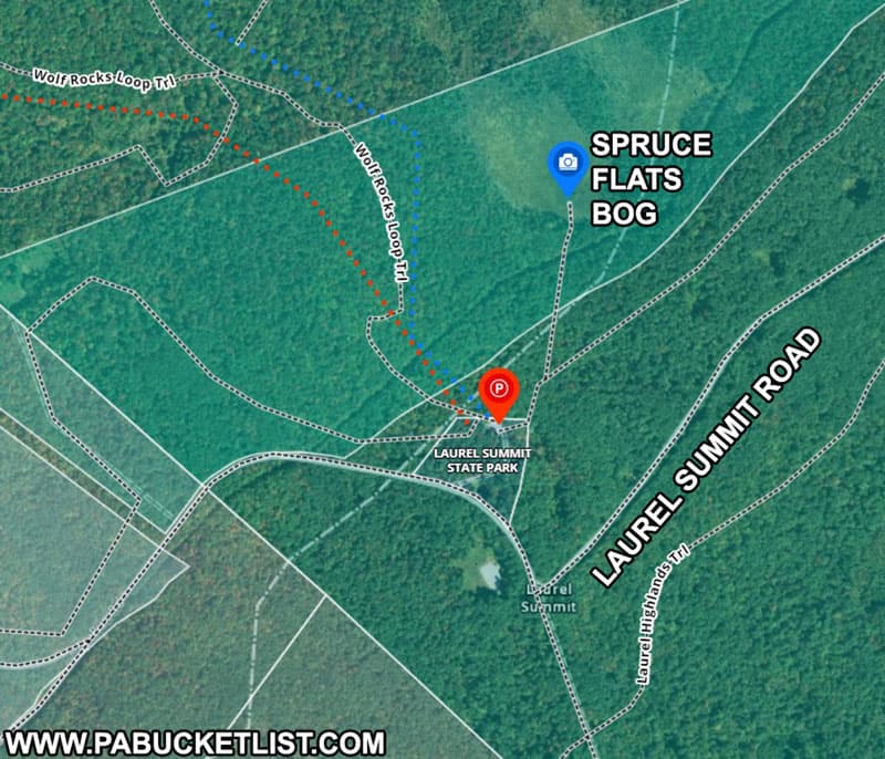 How to find Spruce Flats Bog in the Forbes State Forest in Pennsylvania