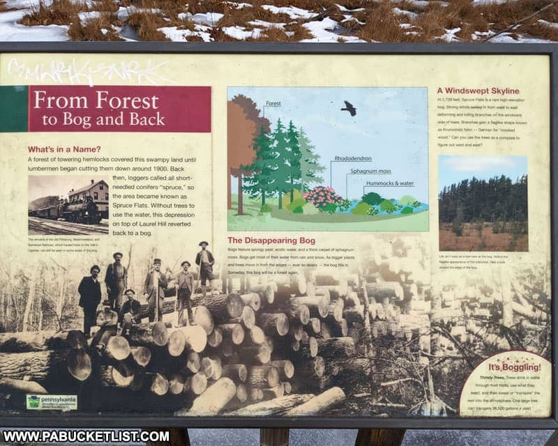 Informational sign at Spruce Flats Bog in Westmoreland County PA