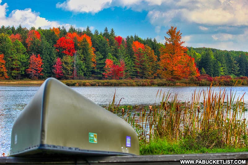 Fall foliage starting to appear at Black Moshannon State Park.