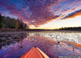 Sunset at Black Moshannon State Park as viewed from a kayak.