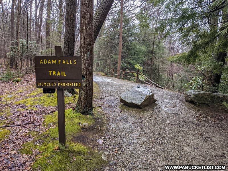 Adams Falls Trailhead at Linn Run State Park.