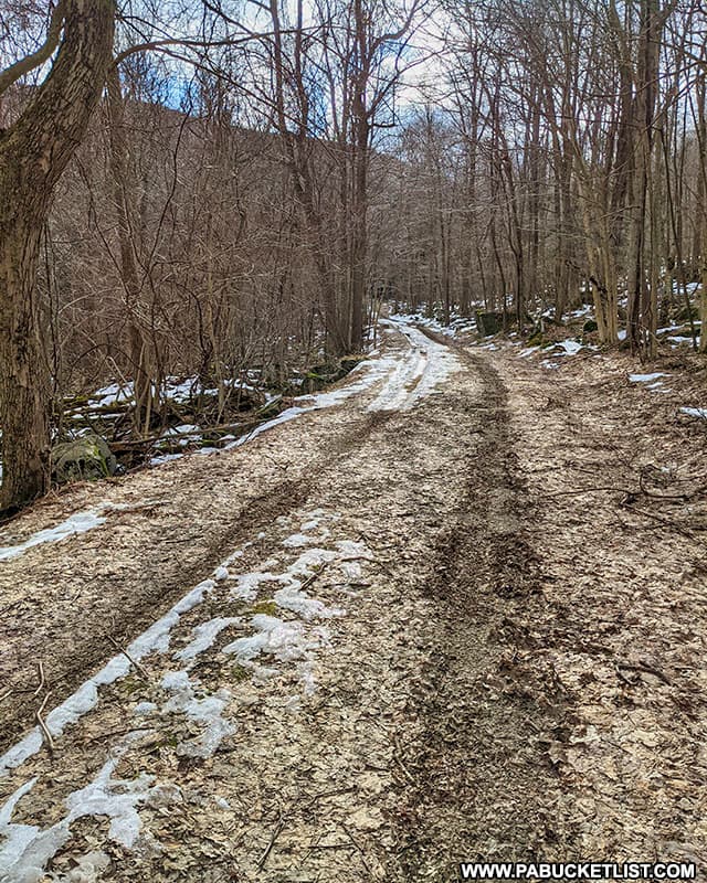 Exploring Mill Creek Falls in Westmoreland County