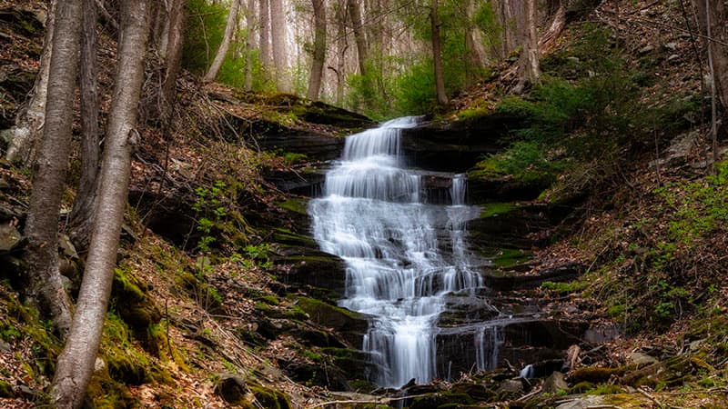 Benjamin Hollow Falls in Tioga County Pennsylvania