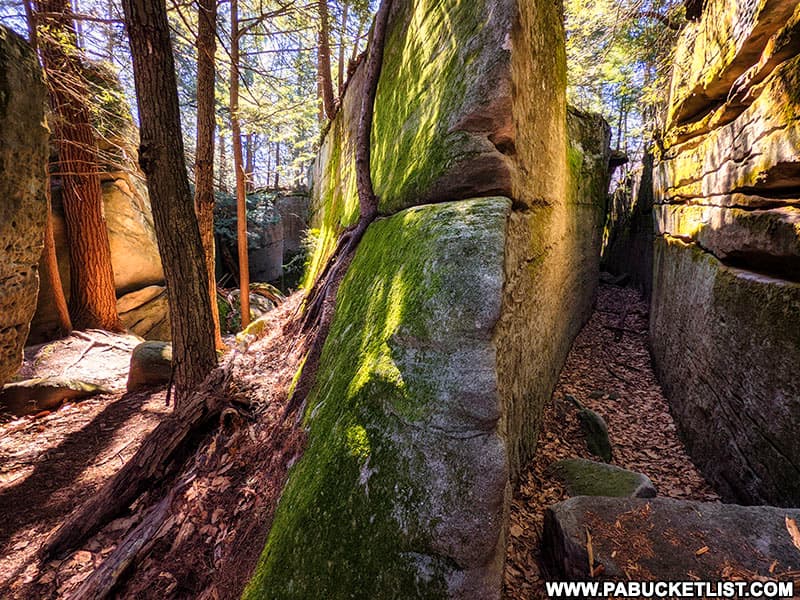 Adjoining passageways between rock formations along the Fred Woods Trail.