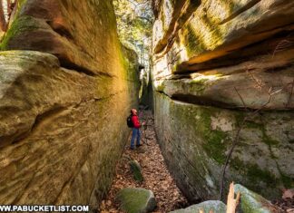 The author in one of the canyons formed by massive rock formations along the Fred Woods Trail.